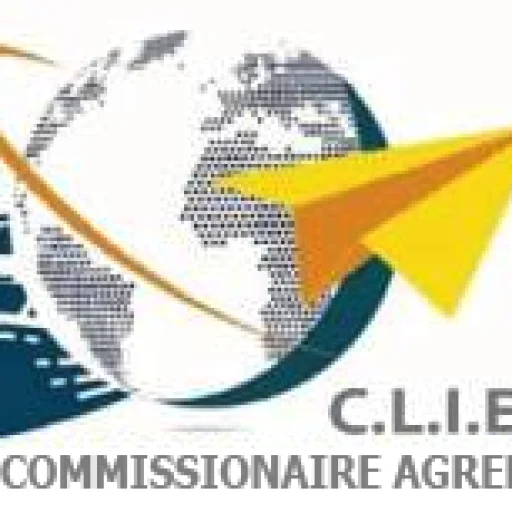 Logo C.L.I.E.N.T SARL