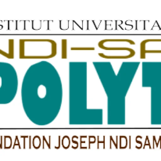Logo NDI SAMBA POLYTECH