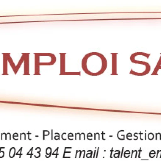 Logo TALENT EMPLOI SARL