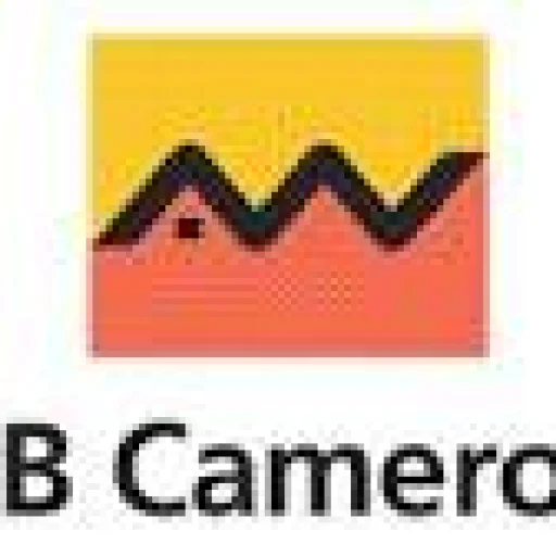 Logo SCB CAMEROUN