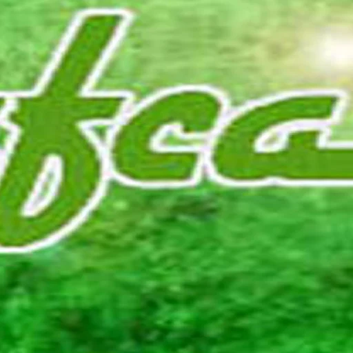 Logo SAFCA