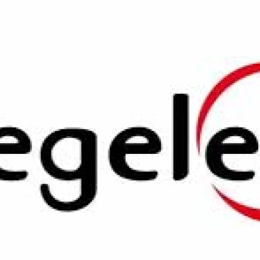 Logo CEGELEC Cameroun