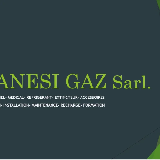 Logo WANESI GAZ Sarl