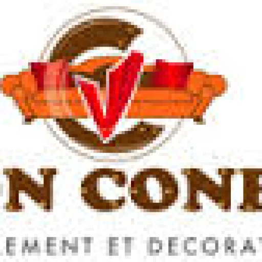 Logo VISION CONFORT