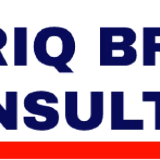 Logo AFRIQ BRAIN CONSULTING
