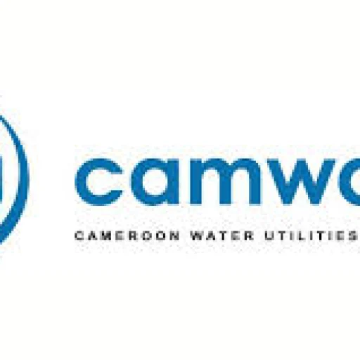 Logo CAMEROUNAISE DES EAUX