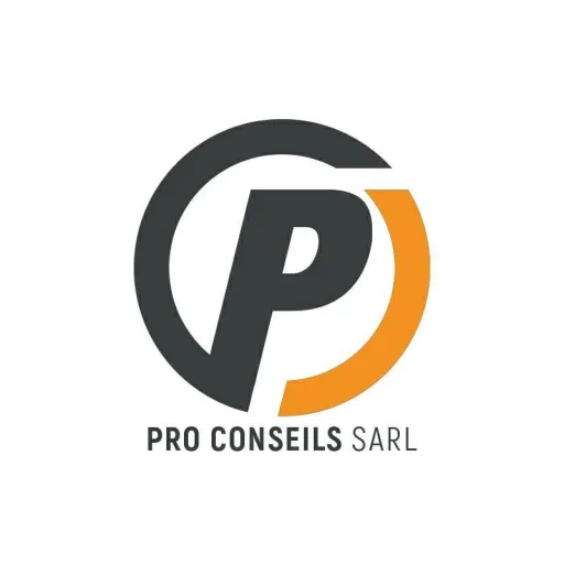 Logo Pro Conseils Sarl