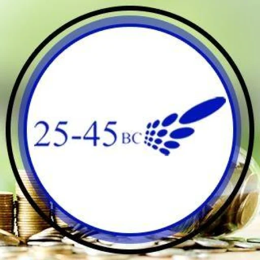 Logo 25-45 Business Consulting