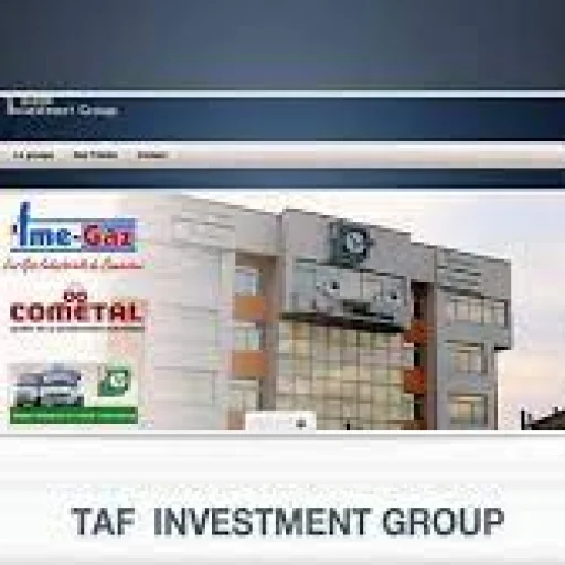 Logo TAF INVESTMENT GROUP