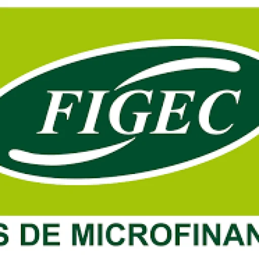 Logo Financière Générale d’Epargne et de Crédit - Agence de Bangangte