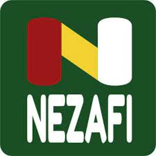 Logo Nezafi Capital
