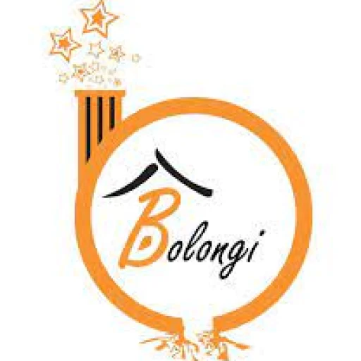 Logo BOLONGI SARL