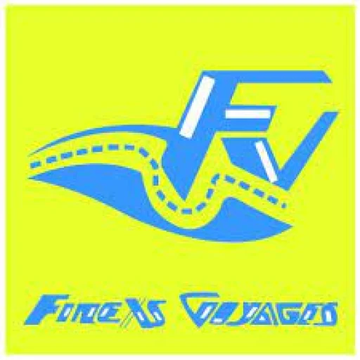 Logo First National Express Safety Cameroun LTD - Agence de Douala
