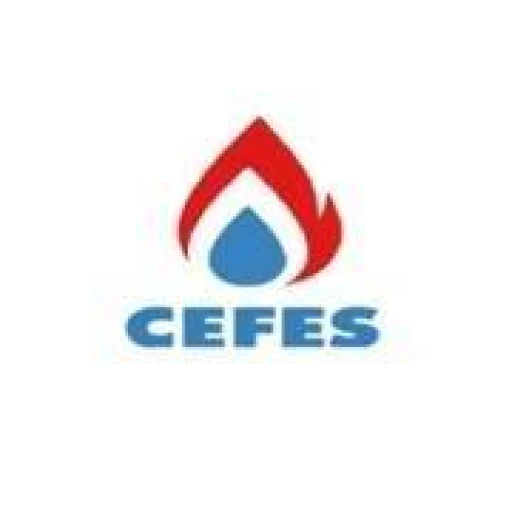 Logo Cameroon Energy Field Engineering & Services