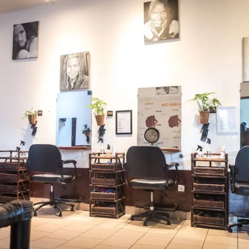 Logo Ebony Hair Care - Salon de Yaoundé