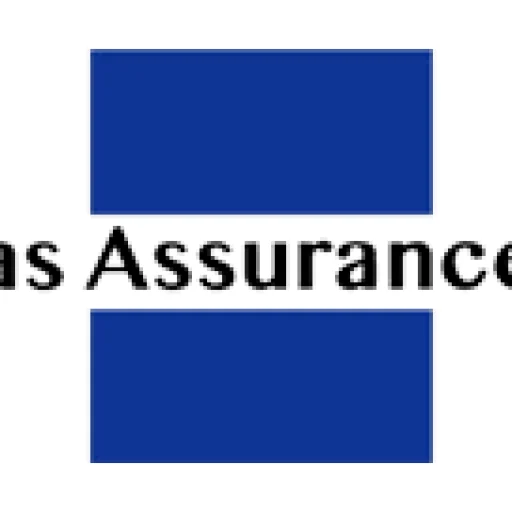 Logo Chanas Assurances - Agent général de Bonapriso (Frédéric PECH Assurances)