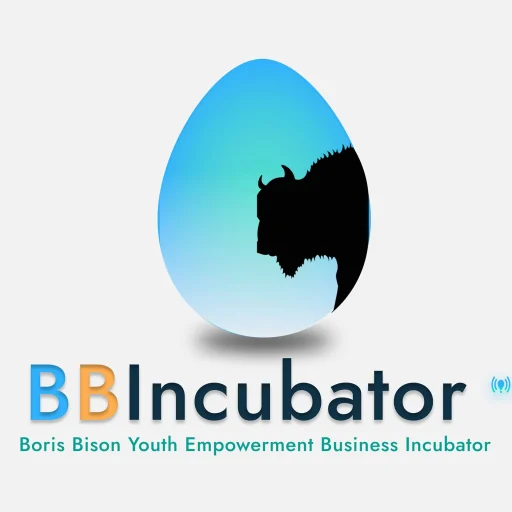 Logo Boris Bison Youth Empowerment Business Incubator