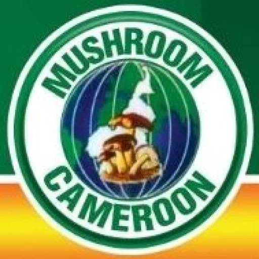 Logo Mushroom Cameroon