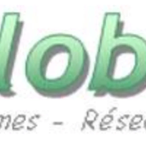 Logo GLOBAL INFORMATION TECHNOLOGIES