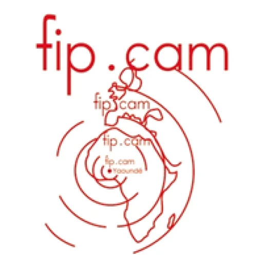 Logo Fabrique Camerounaise de Parquets