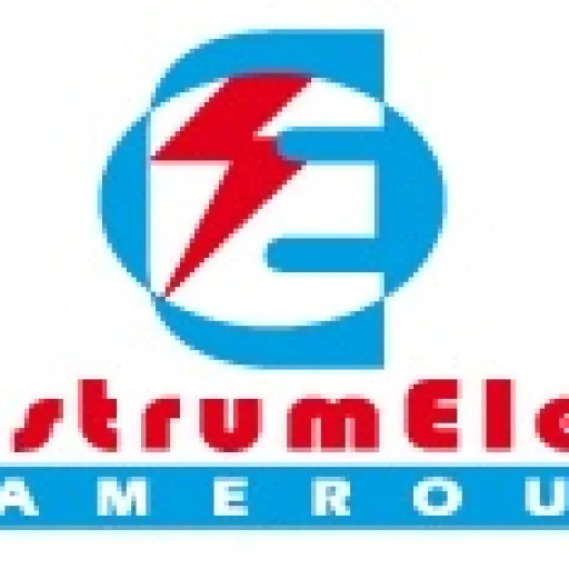 Logo InstrumElec