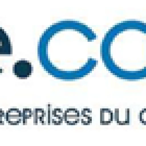 Logo Entreprises du Cameroun