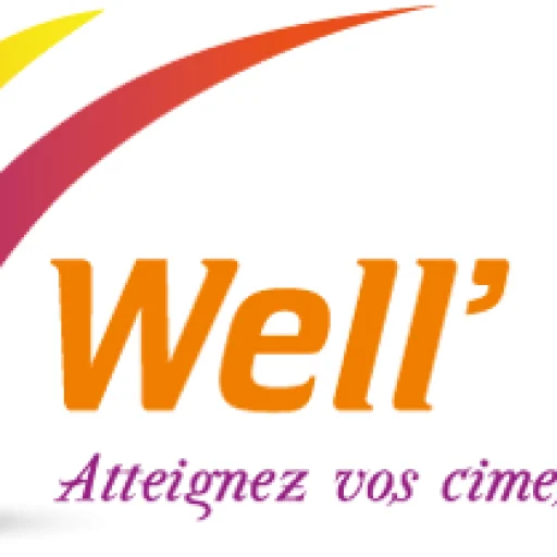 Logo Well'Done SA