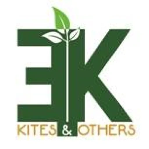 Logo Kites And Others