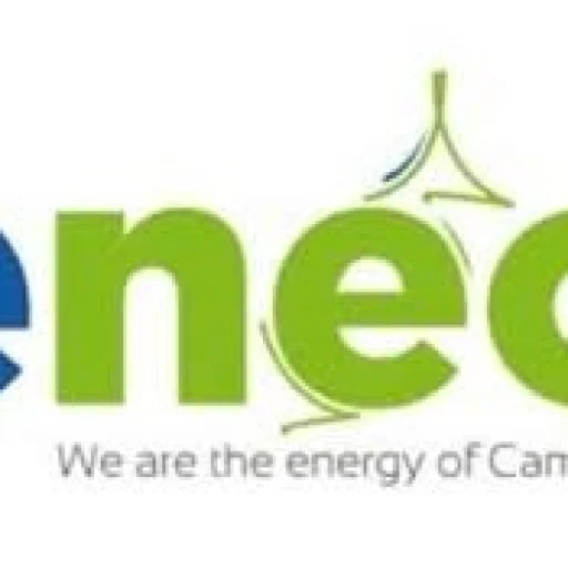 Logo Eneo Cameroon SA