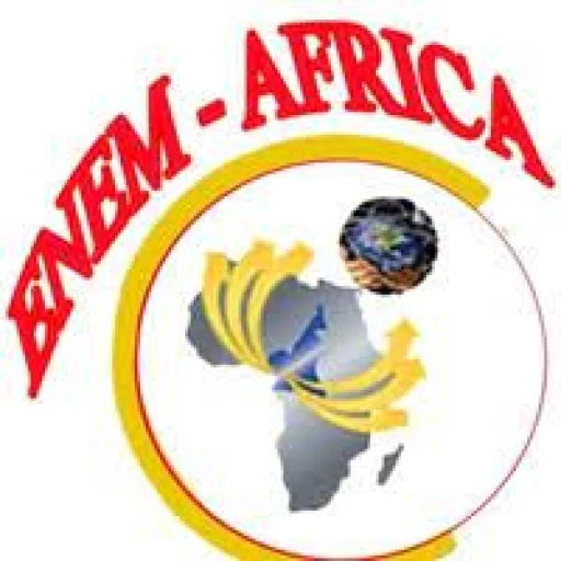 Logo ENEM Africa