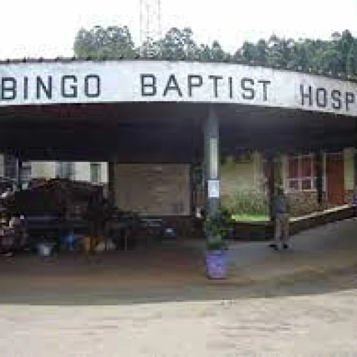 Logo Mbingo Baptist Hospital