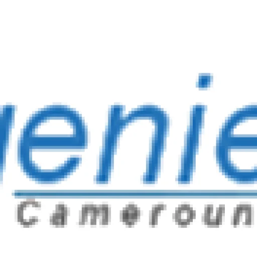 Logo Ingenieris Cameroun