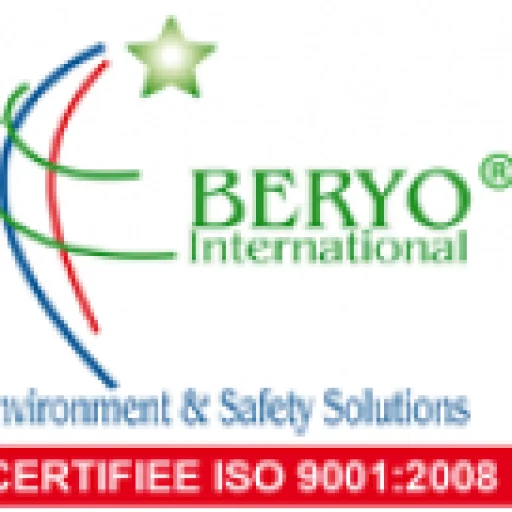 Logo Beryo International - Direction Générale