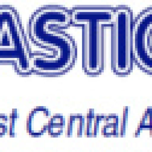 Logo LE PLASTIQUE CAMEROUNAIS