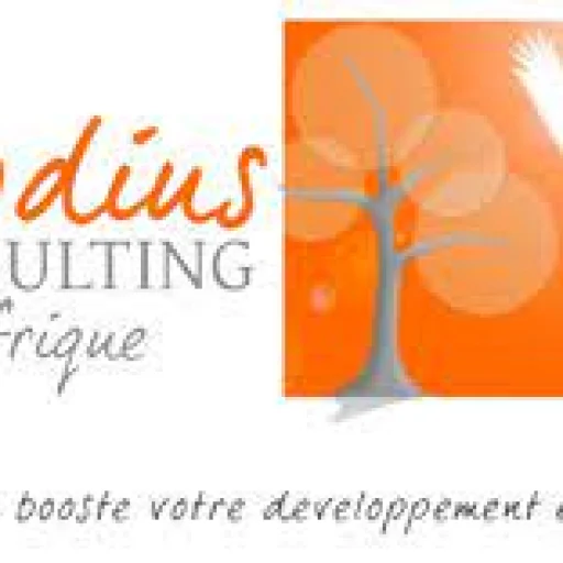 Logo Melodius Consulting - Bureau de Douala