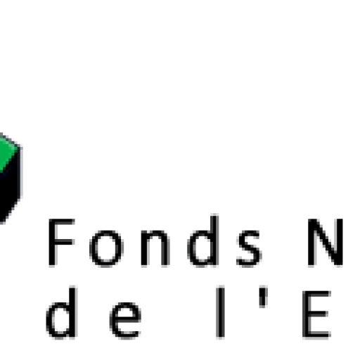 Logo Fonds National de l'Emploi - Direction générale