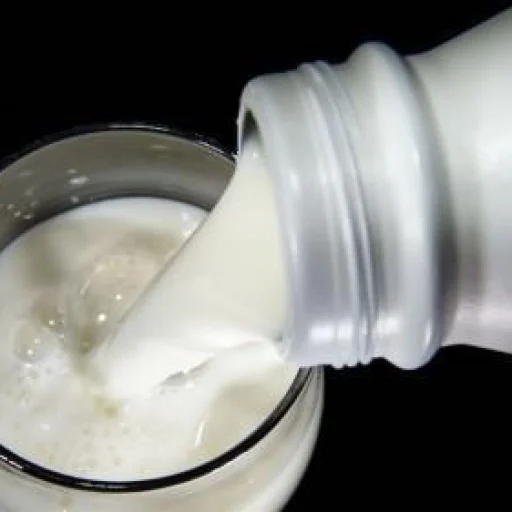 Logo Cameroon Dairy Industry
