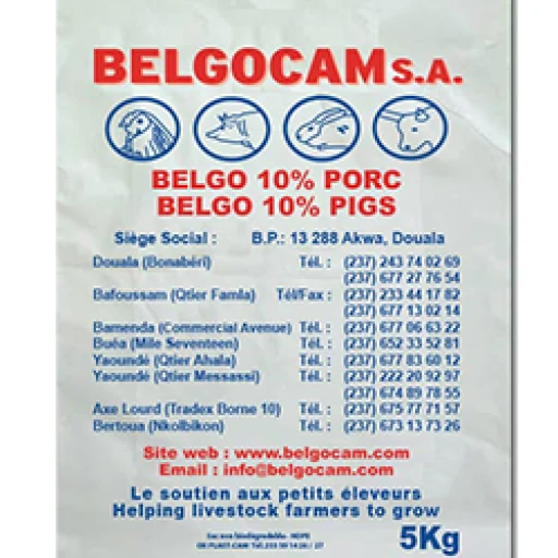 Logo Belgocam - Agence de Bamenda