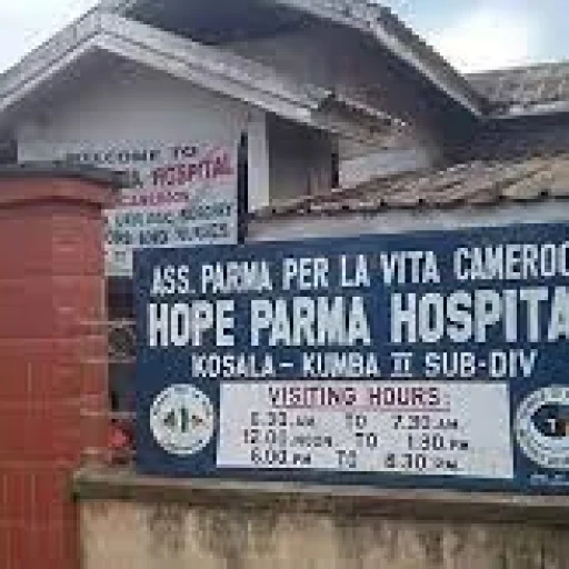 Logo Hope Parma Hospital