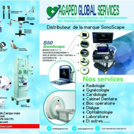 Logo Agapeo Global Services (Boutique de Douala)